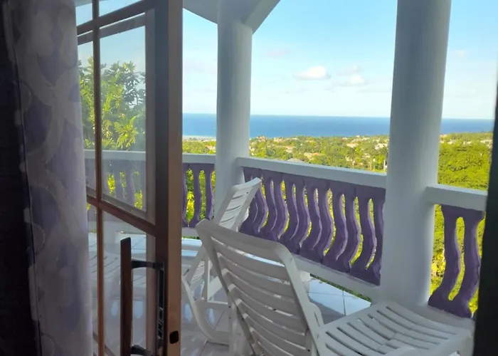 Jamaica Sweetsop & Tours *